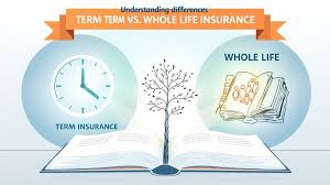 The Whole Life Insurance Handbook